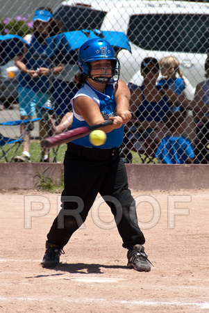 Thousand Oaks Softball 8U-53